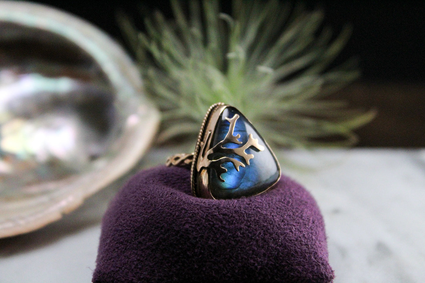 Coral Dreams - Behind the Collection