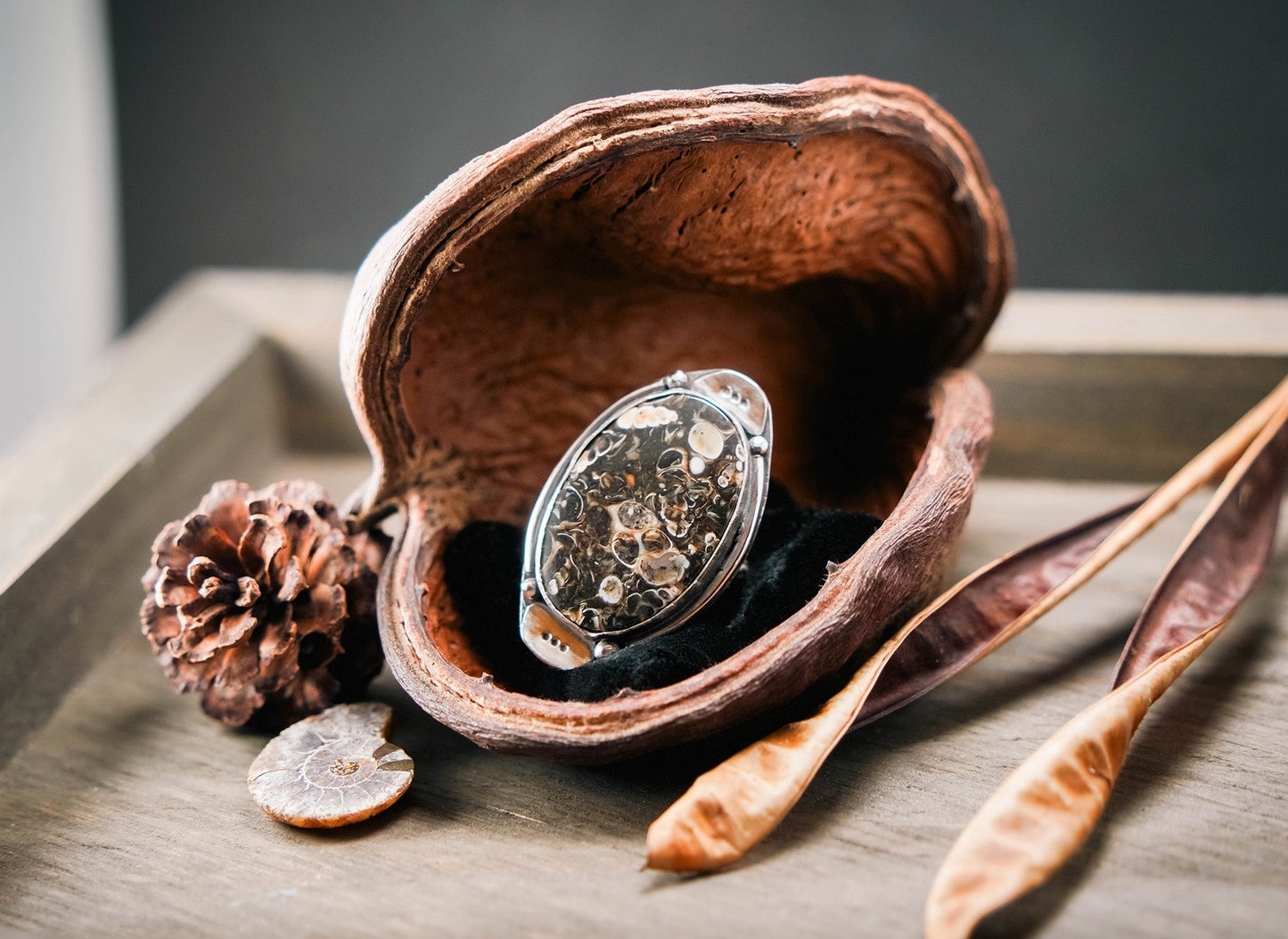 Unearthed: A Collection of Transformation and Renewal
