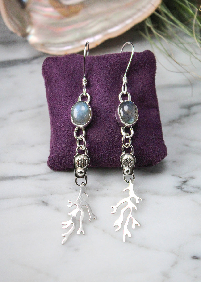 
                  
                    Oval Labradorite Sterling Silver Long Dangle Coral Fringe Earring Pair
                  
                