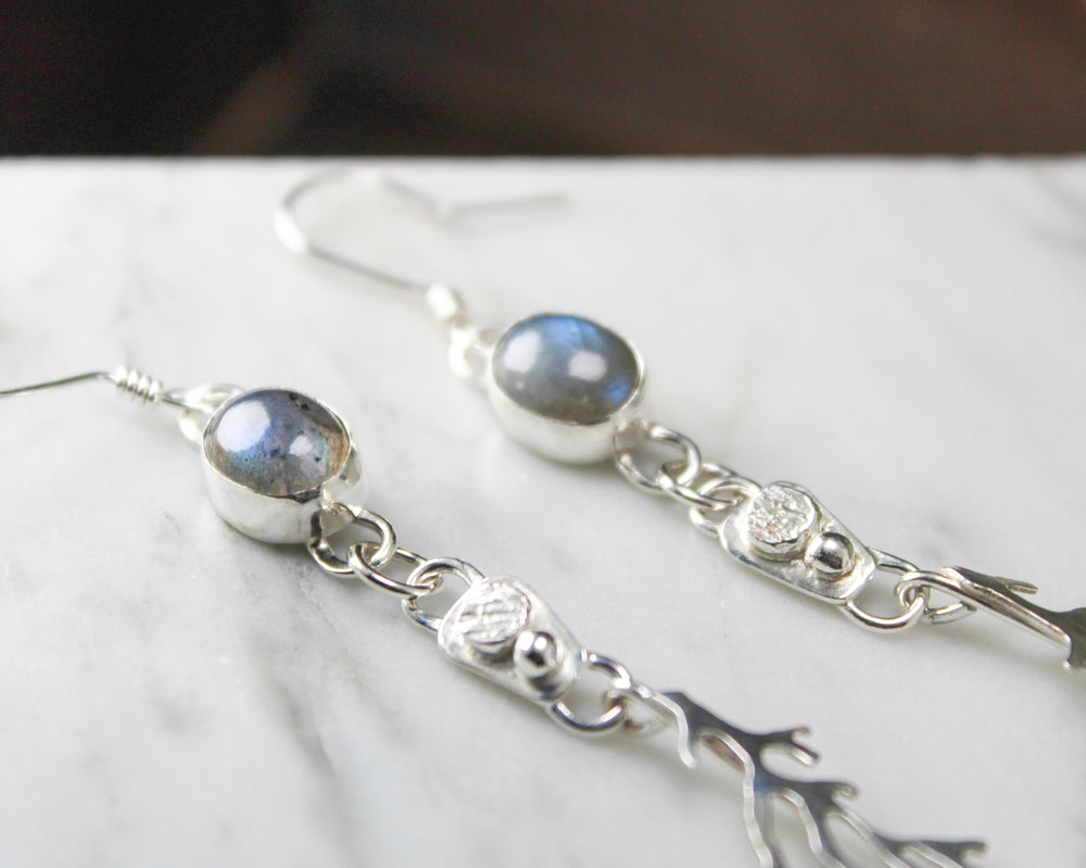 
                  
                    Oval Labradorite Sterling Silver Long Dangle Coral Fringe Earring Pair
                  
                